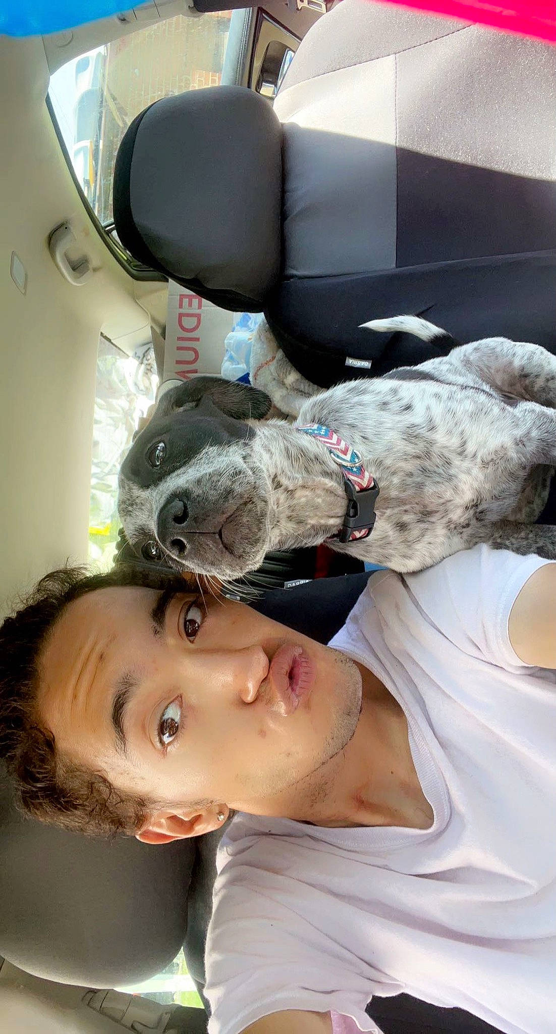 Axel Ray joined the competition — help win amazing prizes! automotive_design, black_hair, car_seat, child, comfort, cool, elbow, eyelash, eyewear, fun, gesture, hat, human_leg, joint, room, selfie, shoulder, t_shirt, vehicle_door, white