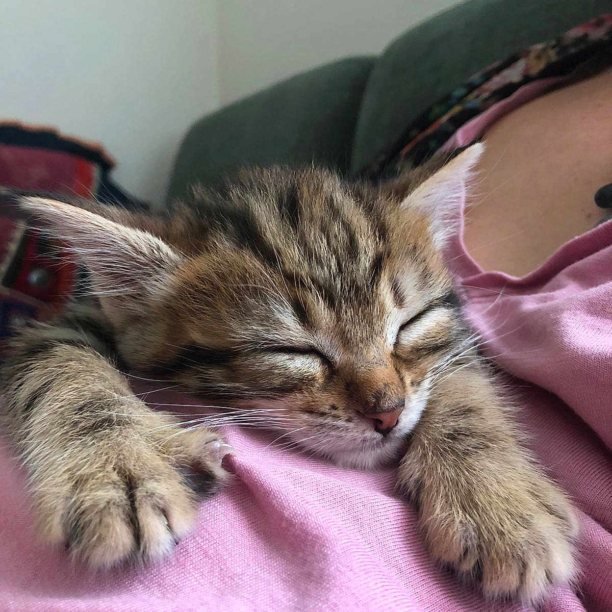 Ajna