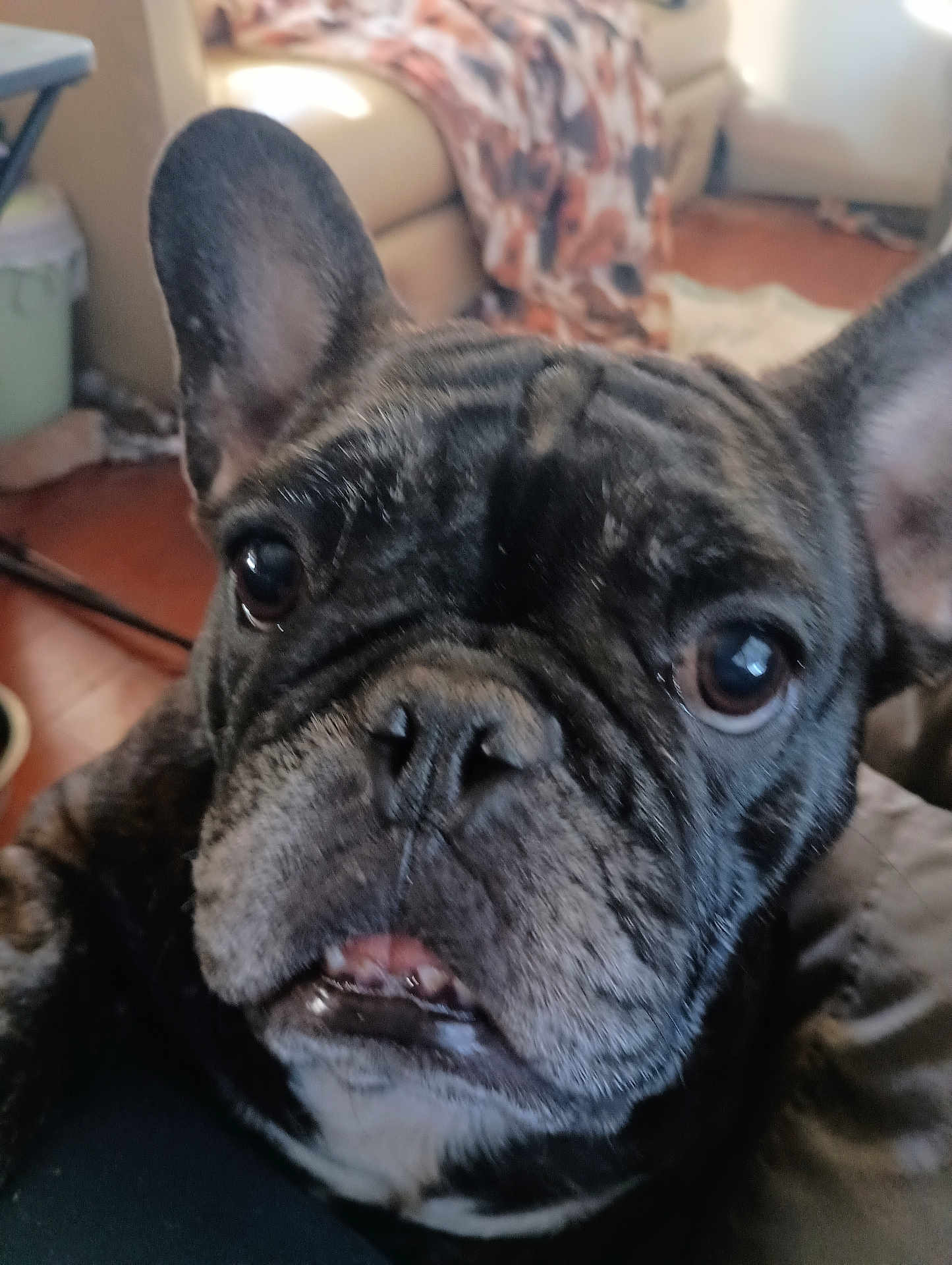 Lala