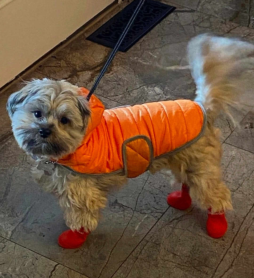 Zoey