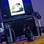 animal, black_and_white_cat, cat, computer, curious_cat, desk, dog, electronics, headphones, indoor, microphone, monitor, pet, room, speaker, technology, television, tv_screen, two_dogs, wooden_furniture