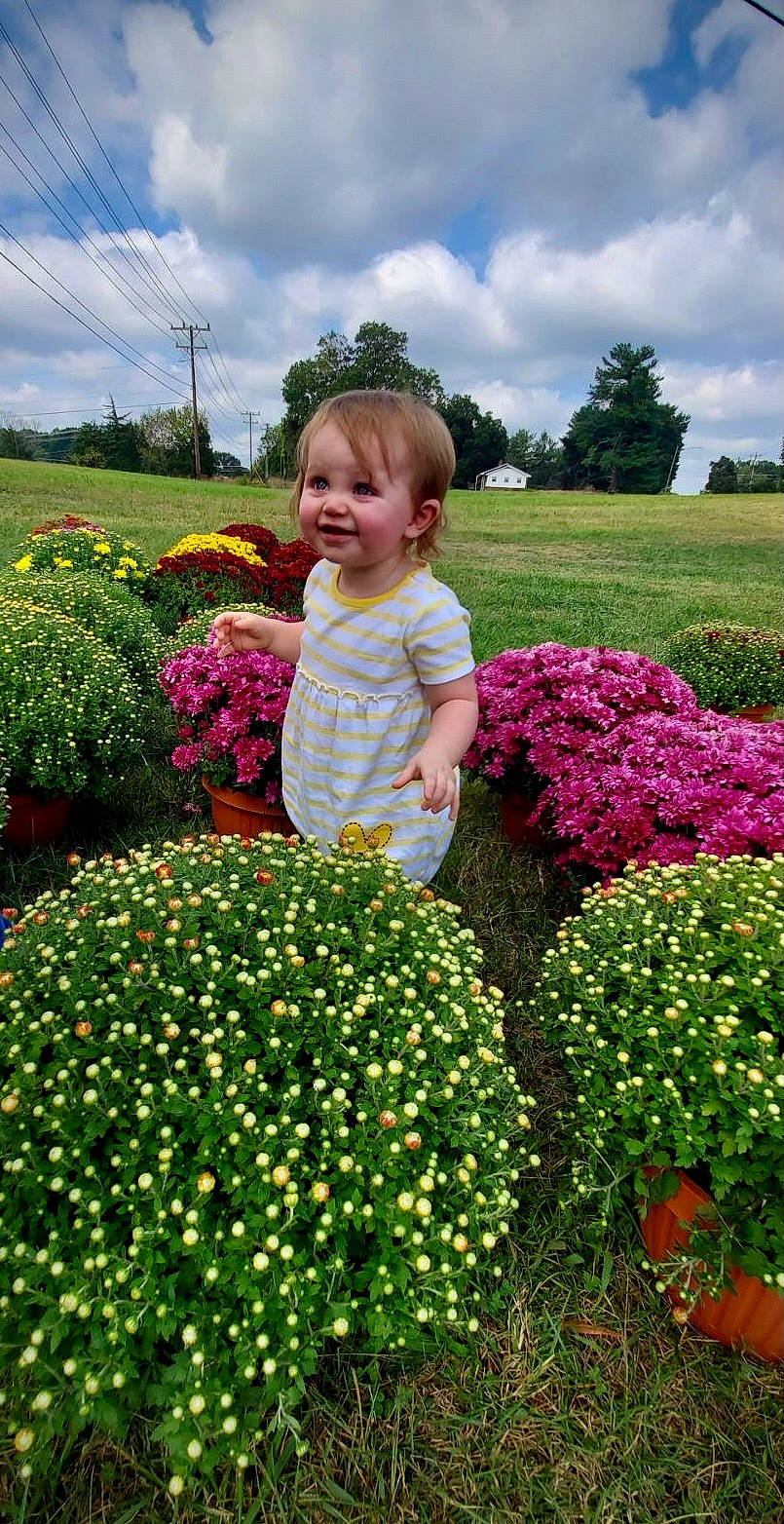 Leighton is registered to the contest to win money with this photo: botany, cloud, flower, flowering_plant, grass, grassland, green, groundcover, happy, joy, leaf, meadow, people_in_nature, person, petal, plant, shrub, sky, smile, summer
