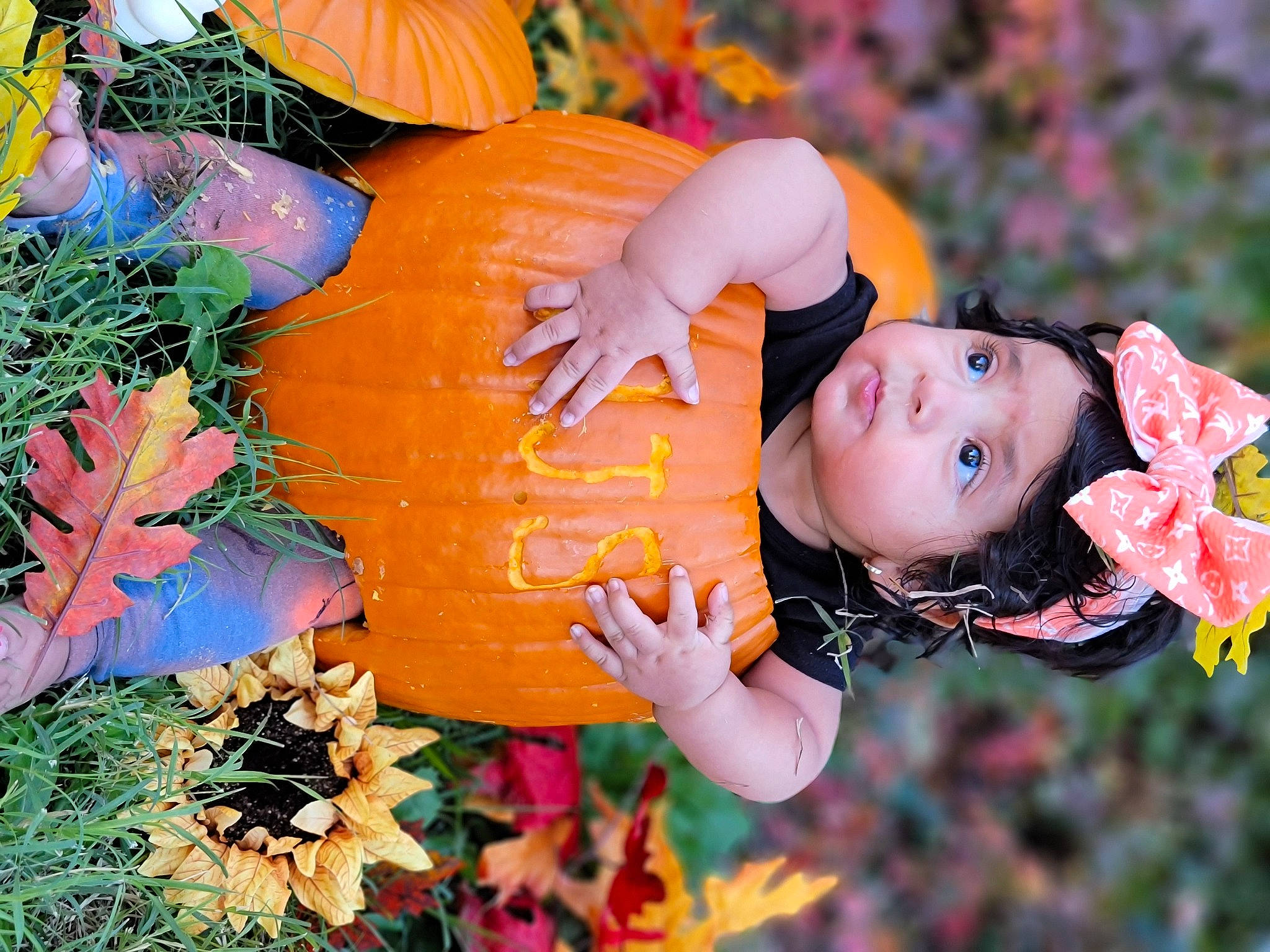 Azianna joined the competition — help win amazing prizes! botany, calabaza, child, cucurbita, fruit, fun, gourd, grass, happy, headwear, leisure, local_food, natural_foods, orange, people_in_nature, person, plant, pumpkin, squash, tree