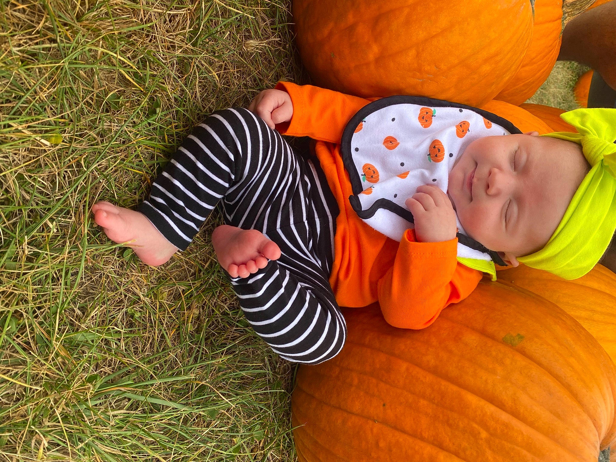 Ellieanna is registered to the contest to win money with this photo: calabaza, child, cucurbita, headwear, orange, person, plant, pumpkin, squash, toddler, vegetable, winter_squash