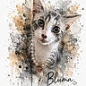 Bluma Et Mia a rejoint le concours — aidez-le/la à gagner de superbes lots ! kitten, cat, pearl_necklace, heart_pendant, watercolor_splash, artistic_background, portrait, close_up, cute, gray_and_white, big_eyes, pet, animal, feline, whiskers, soft_texture, decorative, name_text, stylish, adorable