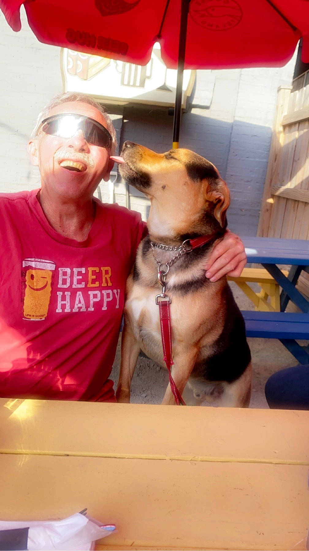 Brady joined the competition — help win amazing prizes! canidae, carnivore, collar, companion_dog, dog, dog_breed, dog_collar, eyewear, fawn, fun, fur, non_sporting_group, personal_protective_equipment, pet_supply, snout, sporting_group, working_animal