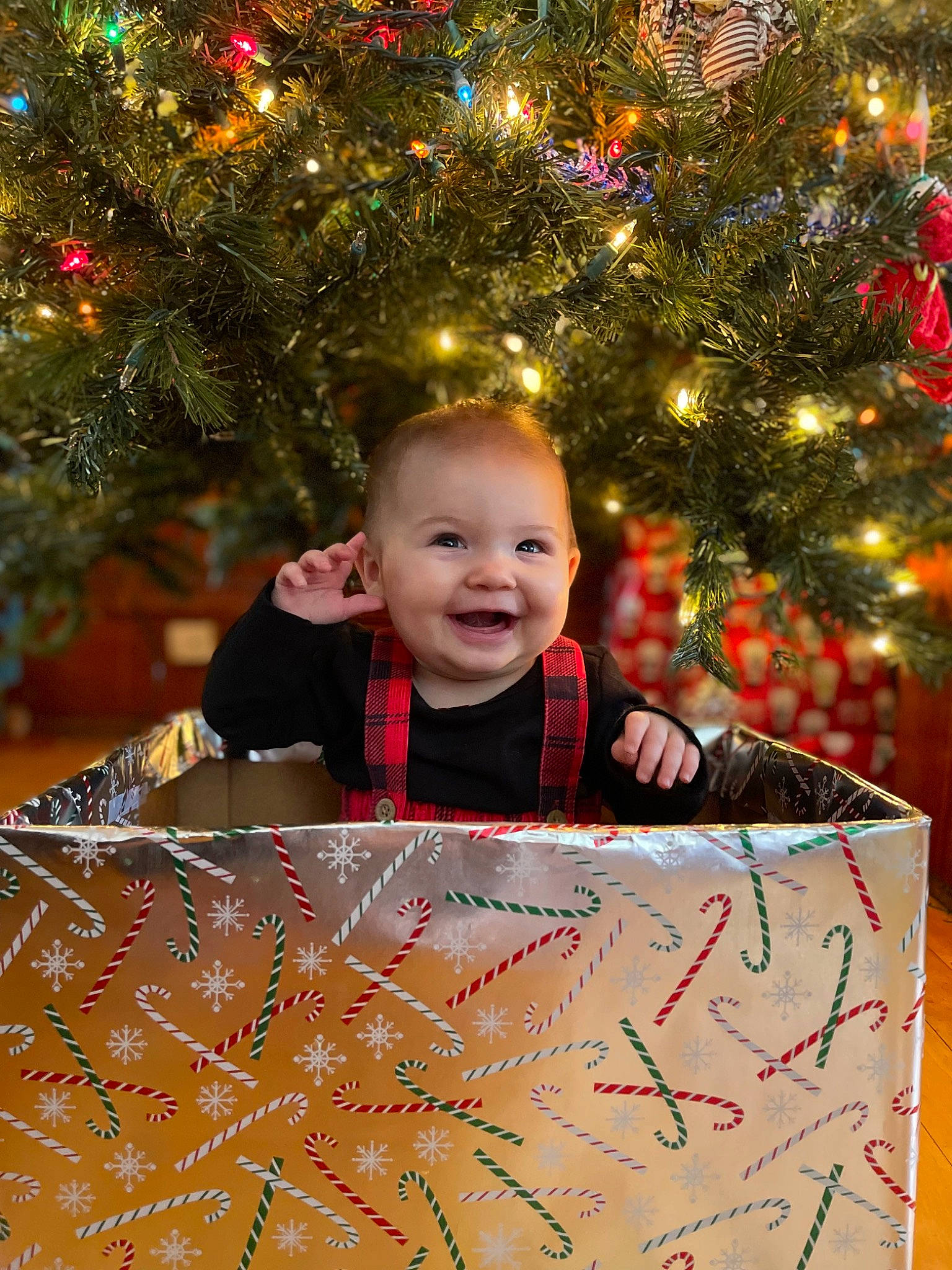 Aspen is registered to the contest to win money with this photo: christmas_decoration, christmas_ornament, christmas_tree, facial_expression, fun, happy, head, holiday_ornament, human_body, joy, leaf, light, organ, ornament, people_in_nature, person, photograph, smile, standing, toddler