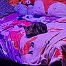cat, bed, blanket, pillow, stuffed_animal, fox, tabby_cat, purple_lighting, bedroom, cozy, animal_print, plush_toy, resting, feline, cute, patterned_bedding, decor, indoor, sleepy, soft