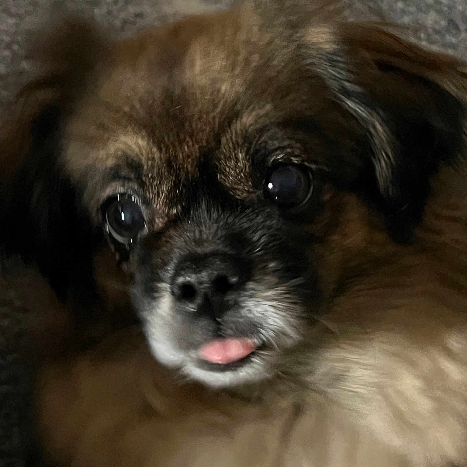 Lily