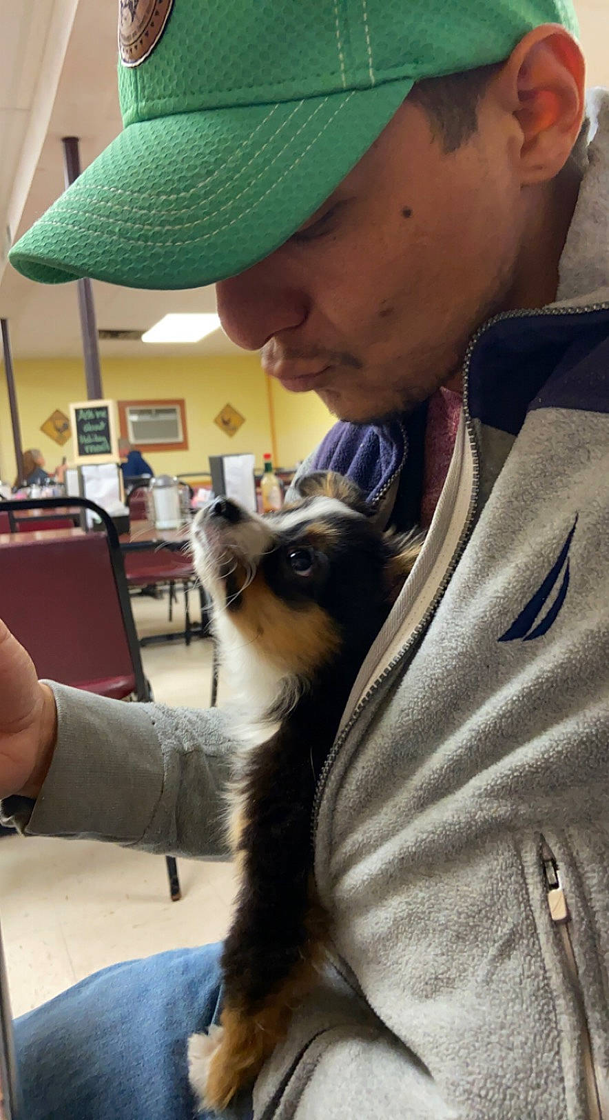 Chema is registered to the contest to win money with this photo: baseball_cap, canidae, cap, carnivore, chair, companion_dog, dog, dog_breed, ear, eyewear, fashion_accessory, fawn, felidae, fur, hat, small_to_medium_sized_cats, sporting_group, table, toy_dog, wool