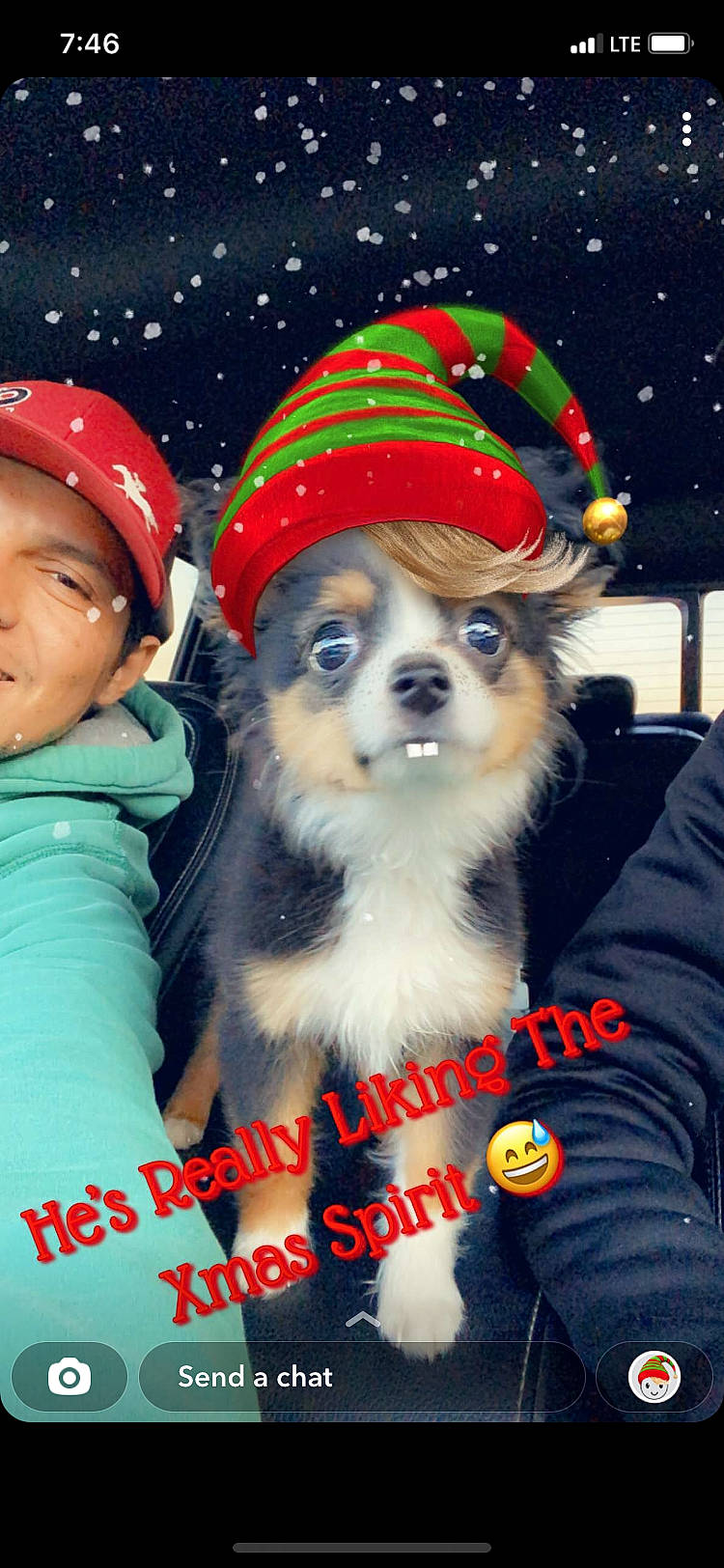Chema is registered to the contest to win money with this photo: baseball_cap, cap, carnivore, christmas, companion_dog, costume_hat, dog, dog_supply, event, fun, fur, happy, hat, headgear, holiday, photo_caption, plant, santa_claus, toy_dog, winter