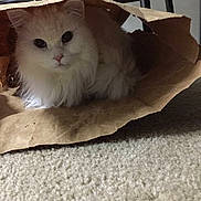 Zoe joined the competition — help win amazing prizes!