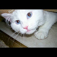 Zoe joined the competition — help win amazing prizes!