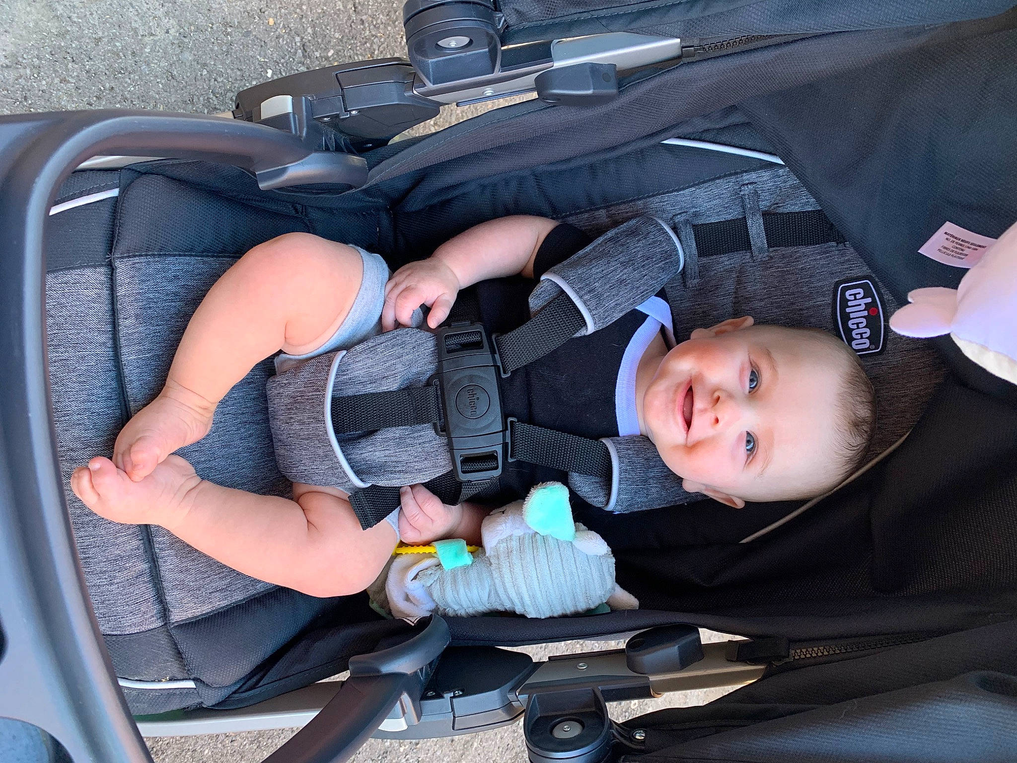 Malcolm joined the competition — help win amazing prizes! auto_part, automotive_design, automotive_exterior, automotive_tire, baby, baby_carriage, baby_products, bag, car, car_seat, car_seat_cover, child, comfort, family_car, joy, luxury_vehicle, motor_vehicle, person, personal_luxury_car, toddler