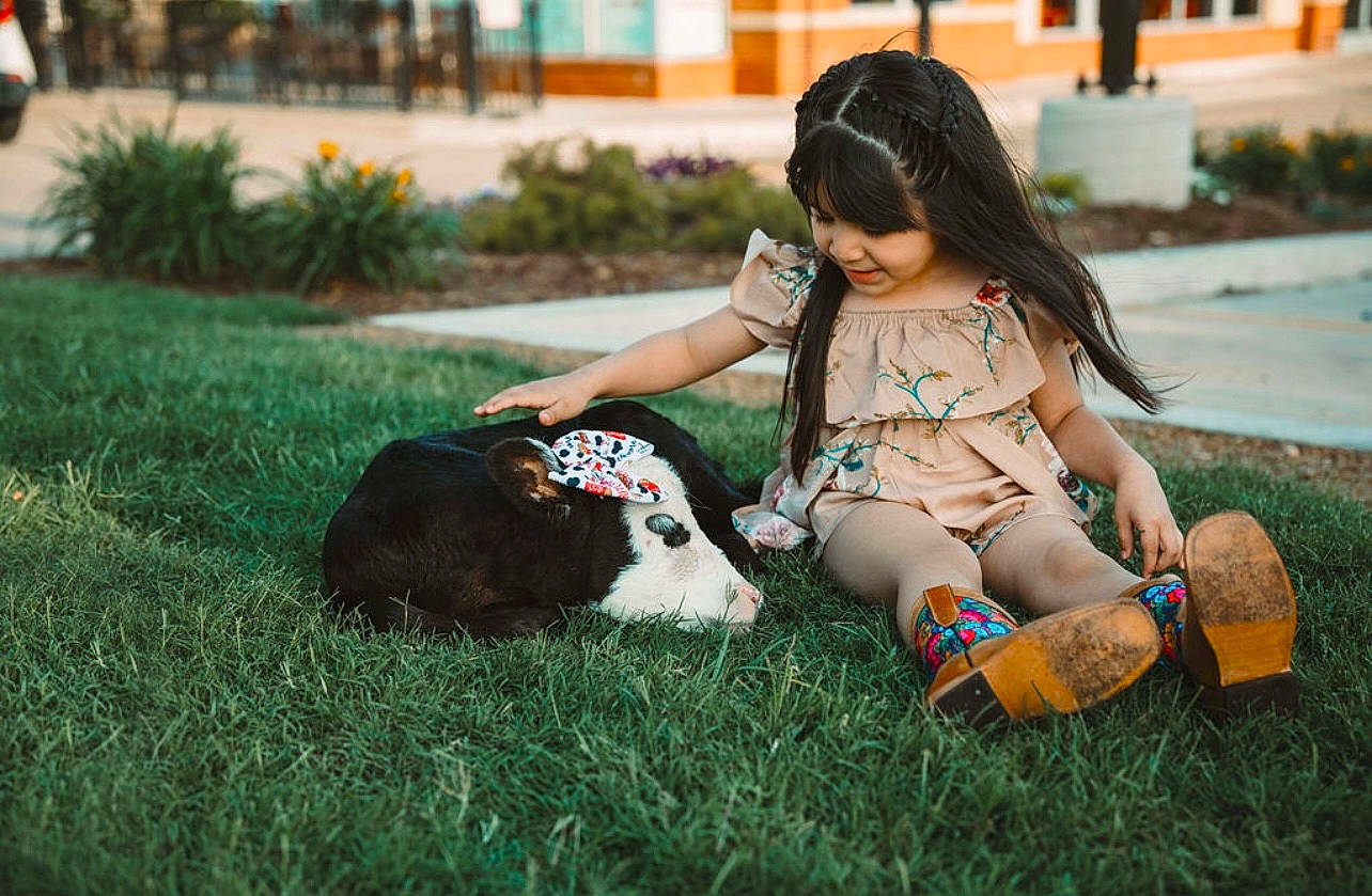 Temari joined the competition — help win amazing prizes! black_hair, child, fawn, fun, grass, grass_family, hair, happy, human_body, joy, knee, leaf, leg, leisure, morning, people_in_nature, person, plant, sandal, shoe