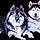 Athena And Zeus