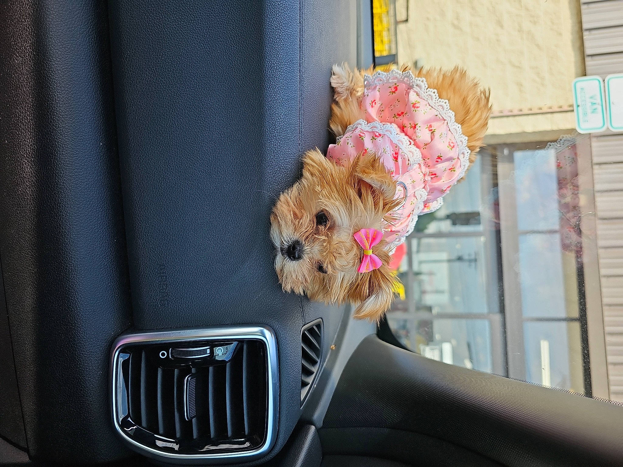 Princess Little Toot joined the competition — help win amazing prizes! audio_equipment, auto_part, automotive_design, automotive_exterior, automotive_lighting, automotive_mirror, bumper, car, family_car, grille, hood, motor_vehicle, personal_luxury_car, stuffed_toy, textile, toy, trunk, vehicle, vehicle_door, window