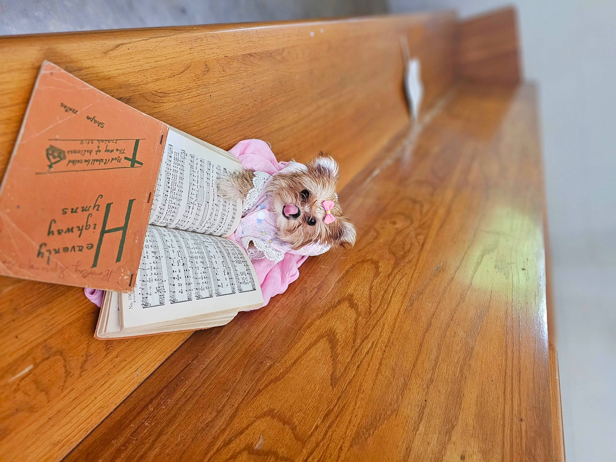 Princess Little Toot