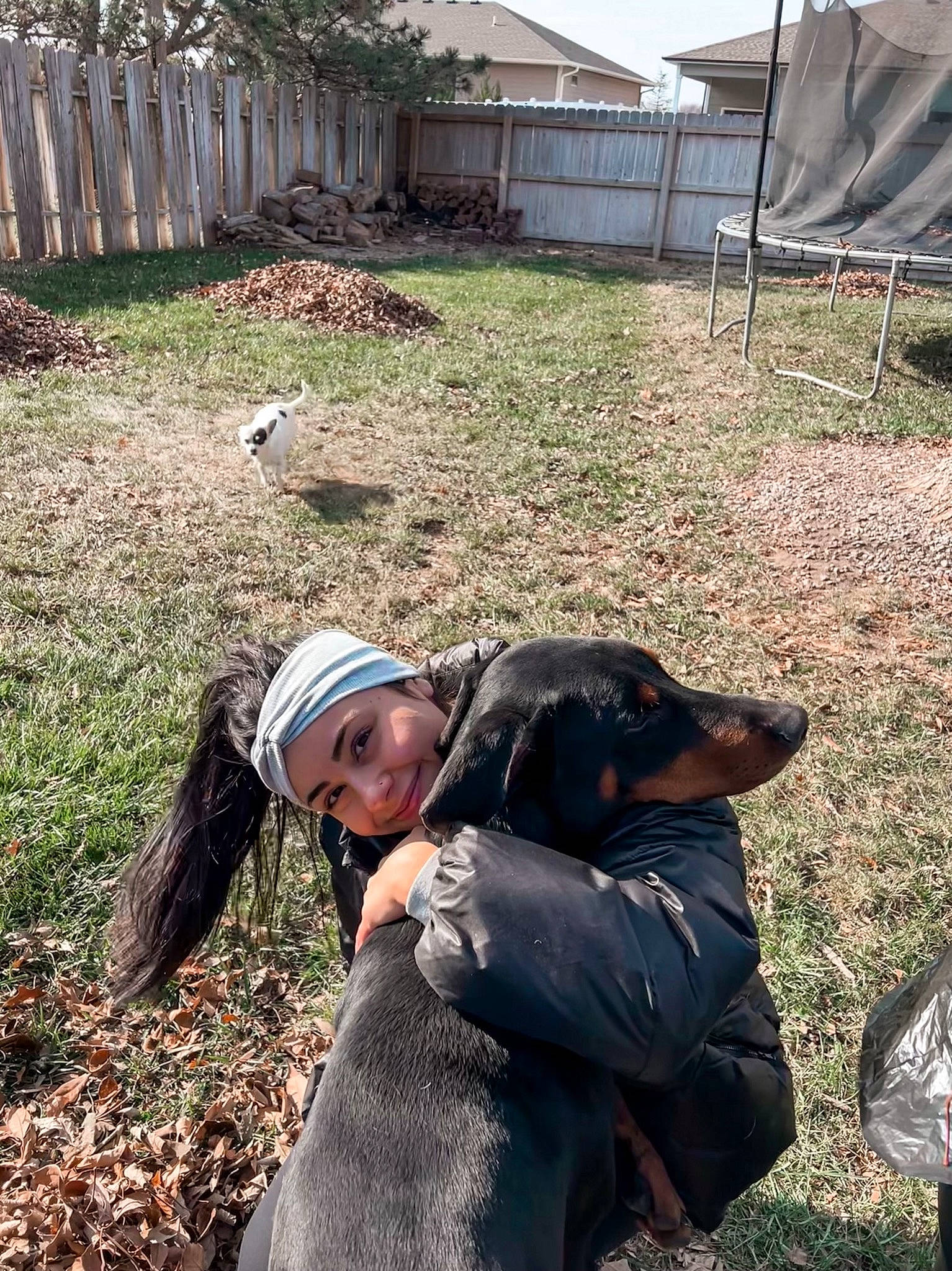 Timis joined the competition — help win amazing prizes! backpack, baseball_cap, cap, companion_dog, dog_breed, fence, fun, fur, garden, grass, grassland, green, landscape, leisure, luggage_and_bags, recreation, sitting, soil, tent, working_animal