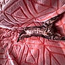 animal, bed, cat, cozy, cute, furry, indoor, kitten, lying_down, paws, pet, pink_blanket, portrait, sleeping, small, spotted_fur, stretching, tabby, tail, whiskers