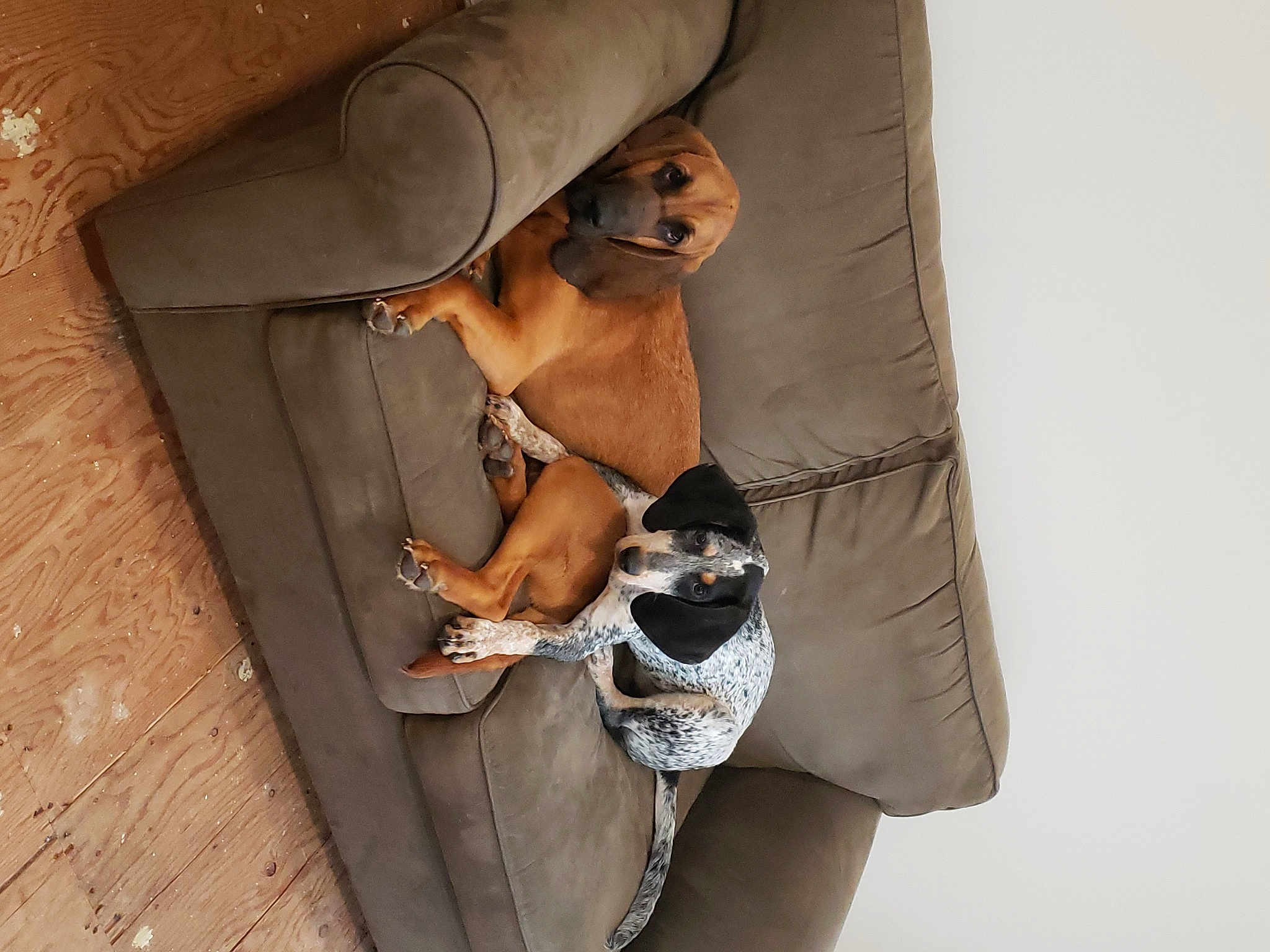 Jolene And Mae-belle