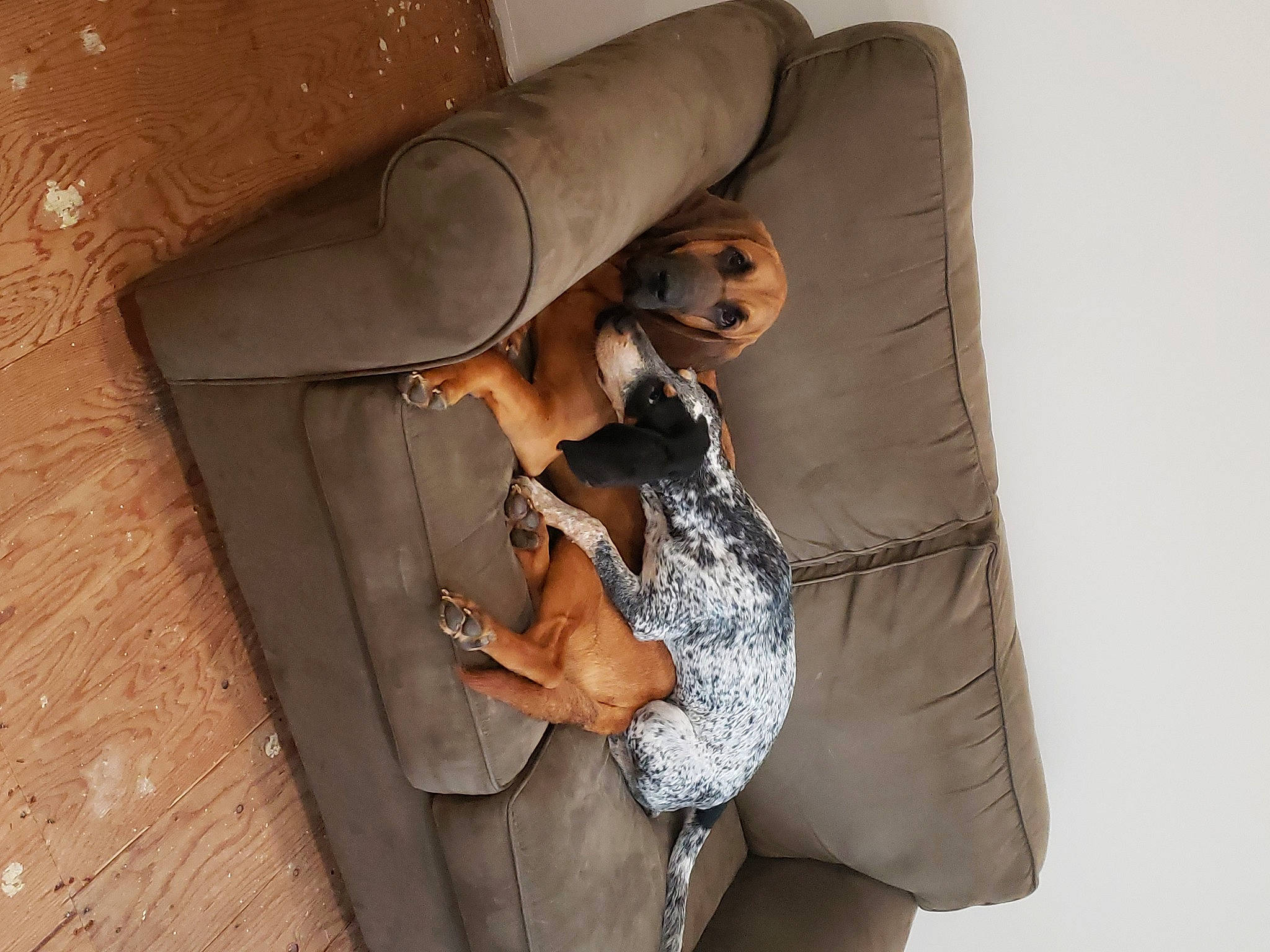 Jolene And Mae-belle joined the competition — help win amazing prizes! bag, blazer, button, collar, comfort, elbow, eyewear, fashion_accessory, fashion_design, goggles, jewellery, linens, personal_protective_equipment, sleeve, street_fashion, sunglasses, thigh, waist, wood, wrist