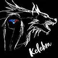 Kelebra L. T.