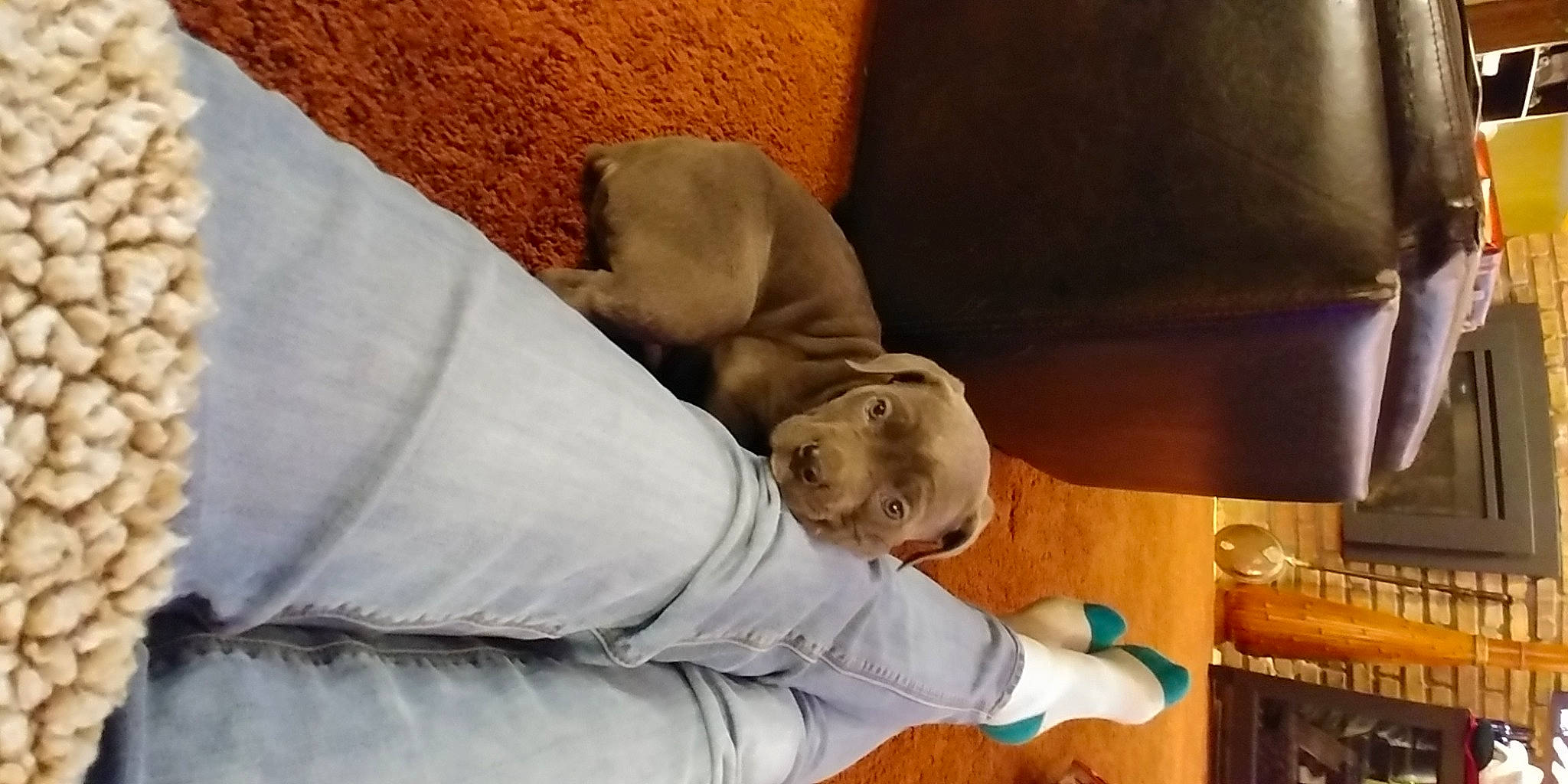 Gideon is registered to the contest to win money with this photo: varnish, wrinkle