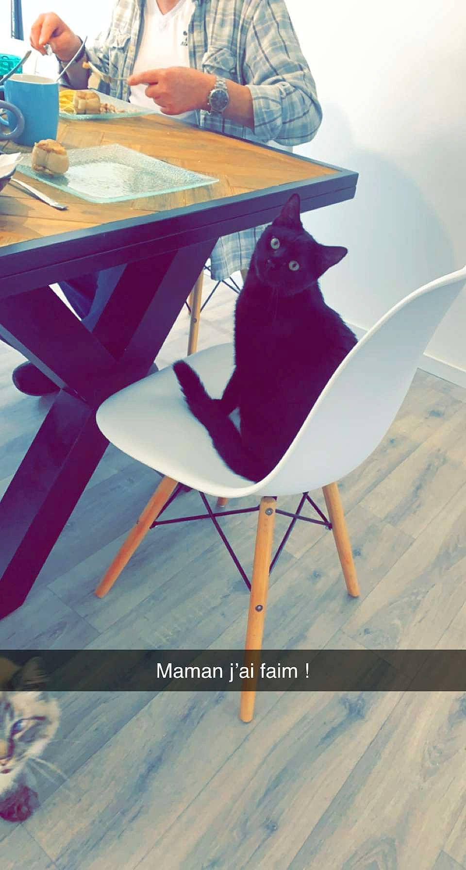 Neo a rejoint le concours — aidez-le/la à gagner de superbes lots ! armrest, chair, coffee_table, comfort, desk, floor, flooring, furniture, hat, interior_design, kitchen_dining_room_table, leisure, line, outdoor_furniture, outdoor_table, paint, rectangle, table, tableware, wood