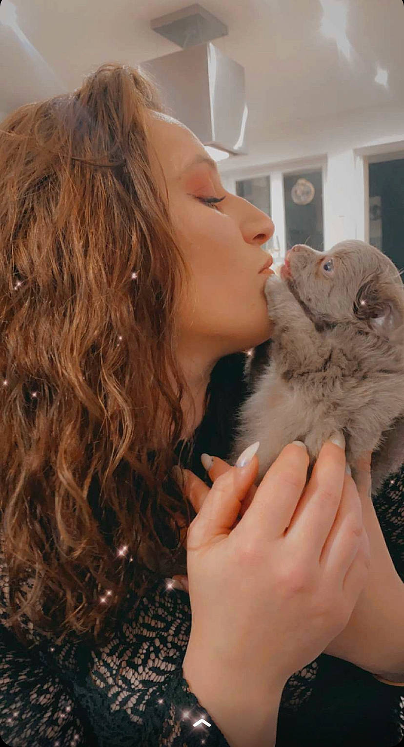 Twinny a rejoint le concours — aidez-le/la à gagner de superbes lots ! blond, brown_hair, companion_dog, eyelash, fawn, feather, felidae, gesture, happy, iris, kiss, layered_hair, lip, liver, long_hair, neck, nose, shoulder, skin, step_cutting