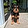 Stormi