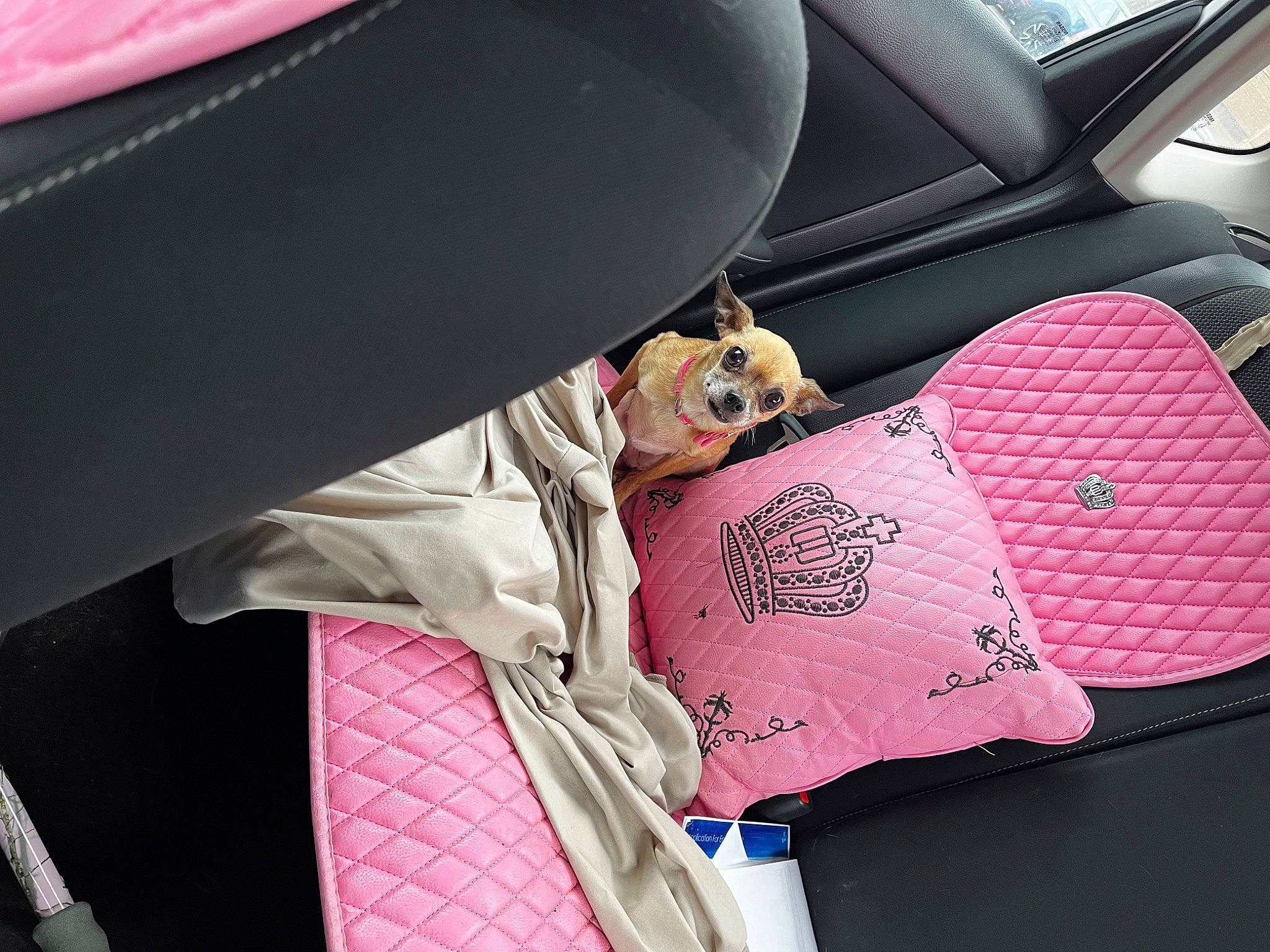 Chi Chi Bella is registered to the contest to win money with this photo: auto_part, automotive_design, automotive_exterior, bag, car, car_seat, car_seat_cover, comfort, family_car, head_restraint, human_leg, motor_vehicle, pattern, personal_luxury_car, sleeve, steering_part, steering_wheel, tints_and_shades, vehicle, vehicle_door