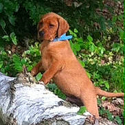 Benjy participe au concours pour gagner de l'argent avec cette photo :