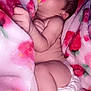 baby, pacifier, blanket, sleeping, infant, diaper, skin, soft, cozy, cute, child, peaceful, rest, pink, floral, comfort, nap, newborn, wrapped, toddler
