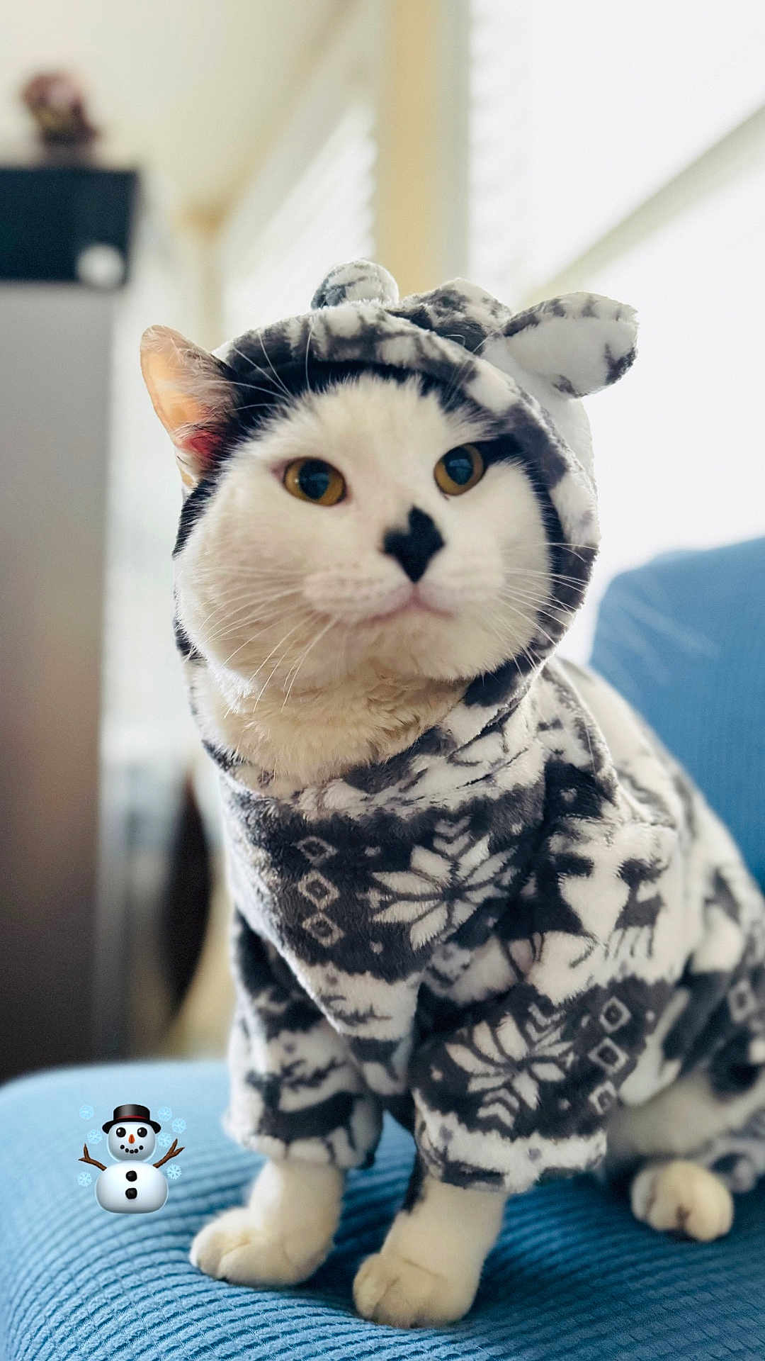 Oreo