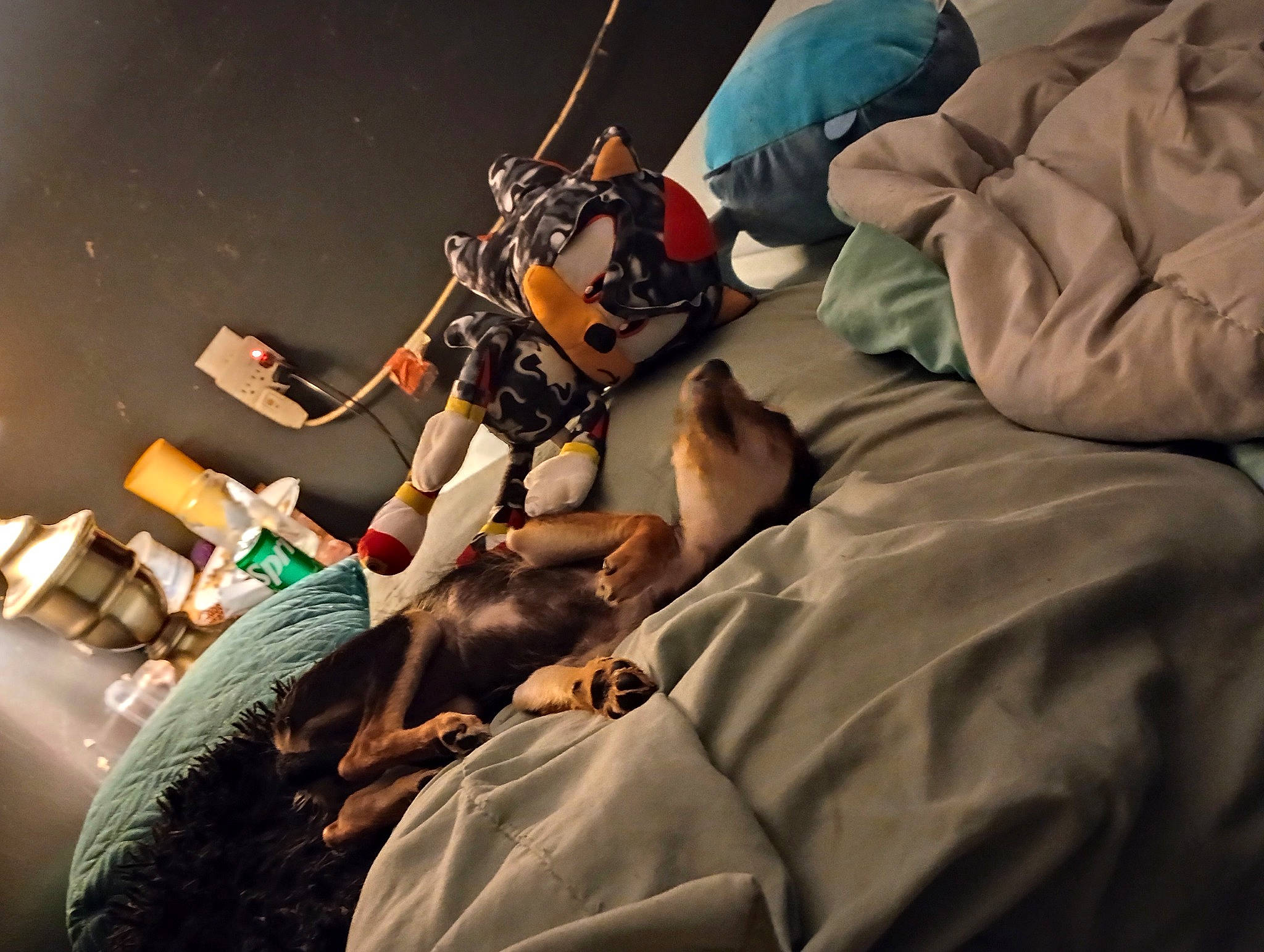 Shitty joined the competition — help win amazing prizes! comfort, elbow, event, flash_photography, hat, health_care, health_care_provider, hospital, human_leg, knee, medical, medical_assistant, medical_equipment, medical_glove, medical_procedure, operating_theater, patient, room, service, surgeon