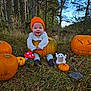 baby, pumpkin, forest, grass, autumn, hat, orange, decoration, smile, toy, nature, child, outdoor, seasonal, milestone, cute, costume, fall, holiday, happy