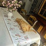 cat, chair, cozy, daylight, decorative, dining_room, floral_pattern, flower_vase, flowers, furniture, home_decor, houseplant, indoor, orange_cat, pet, relaxed, sleeping_cat, table, tablecloth, wooden_furniture