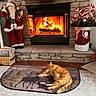 Garfield is registered to the contest to win money with this photo: basket, candy_cane, cat, festive, fire, fireplace, garland, green, holiday_decorations, indoor, moose, newspaper, plant, red, rug, santa_claus, snowman, stone, warmth, wood_floor