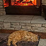animal, cat, comfort, cozy, domestic, fire, fireplace, fur, hearth, home, indoor, orange_tabby, pet, relaxing, resting, rug, sleeping, stone_wall, warm, wood_floor