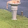 Garfield is registered to the contest to win money with this photo: animal, birdbath, cat, daytime, garden, grass, greenery, mammal, nature, orange_cat, outdoor, peaceful, pedestal, pet, relaxing, resting, scenery, sunny, tabby, wildlife