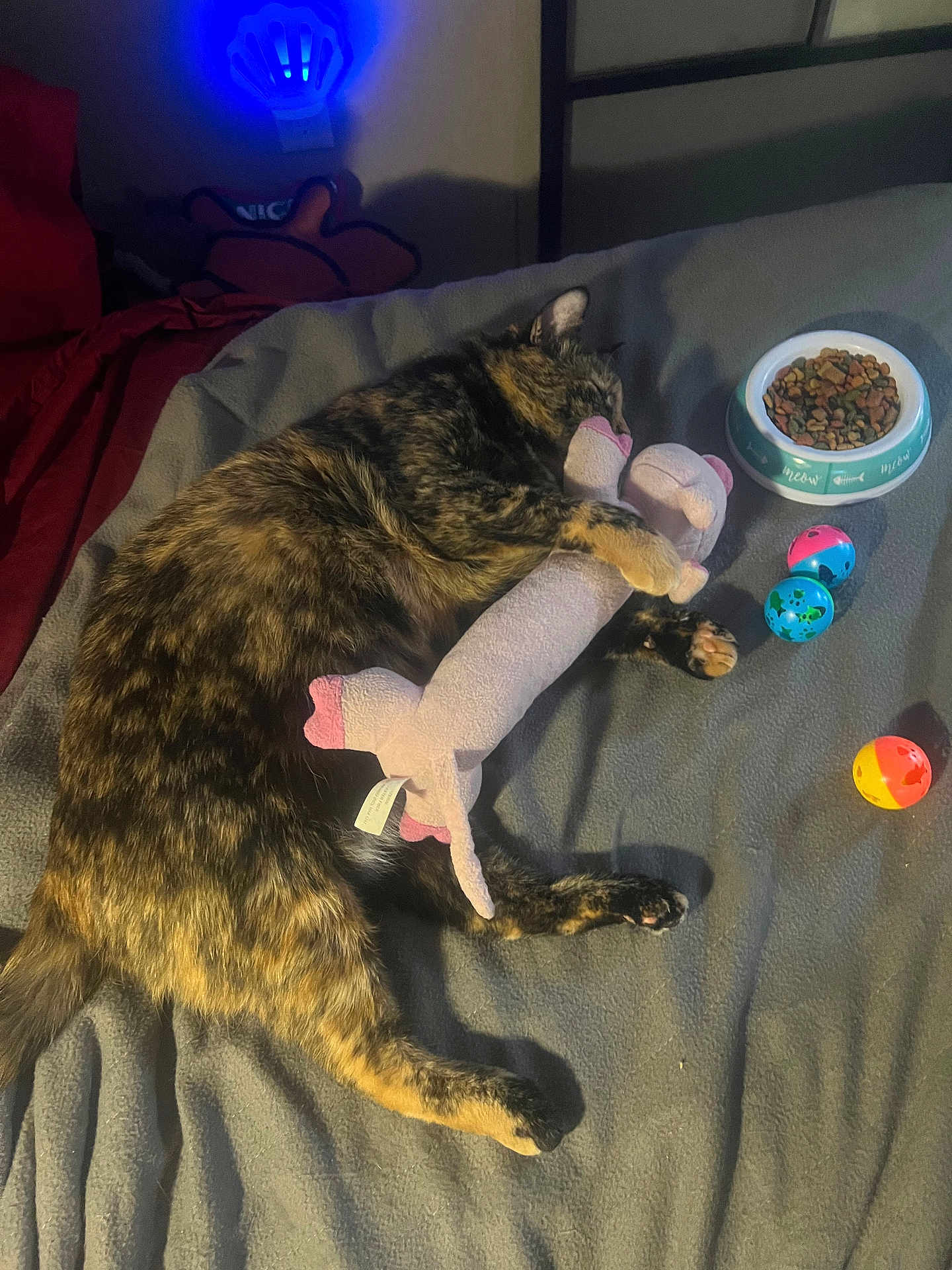 Sissy Princess Avery joined the competition — help win amazing prizes! cat, tortoiseshell, sleeping, toy, stuffed_animal, bed, blanket, cat_food, bowl, cat_toys, plastic_balls, indoor, pet, cozy, resting, fur, paw, cute, animal, soft_lighting