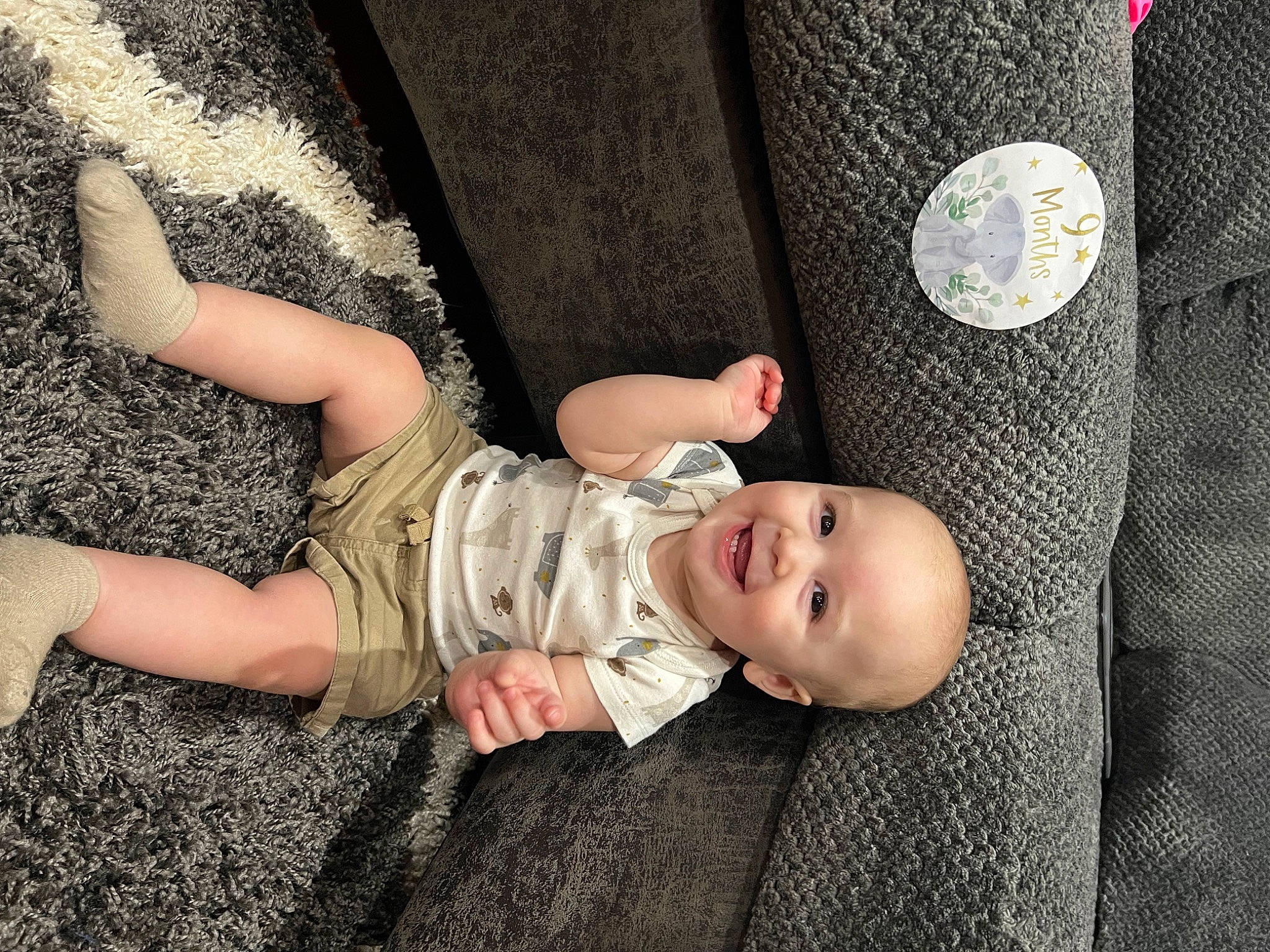 Ronan joined the competition — help win amazing prizes! arm, baby, baby_toddler_clothing, comfort, dress, finger, flash_photography, gesture, grass, hand, human, human_body, joint, joy, leg, person, skin, sleeve, textile, thigh