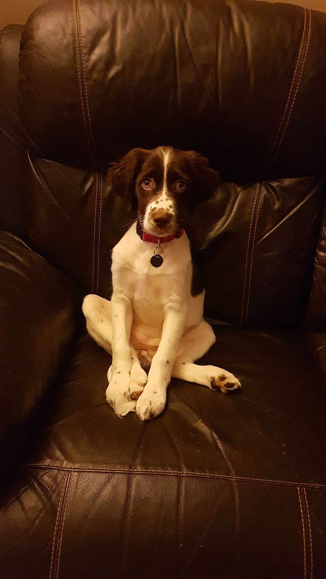 Bonnie