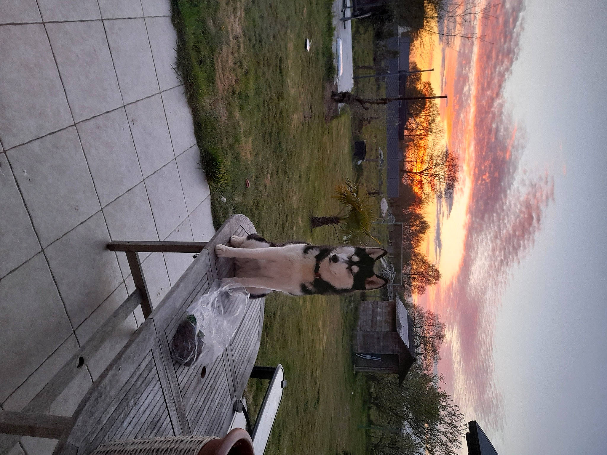 Nala participe au concours pour gagner de l'argent avec cette photo : aircraft, art, concrete, fire, heat, landscape, metal, plant, pollution, propeller, reflection, shadow, sky, smoke, tree, trunk, water, wing, wood