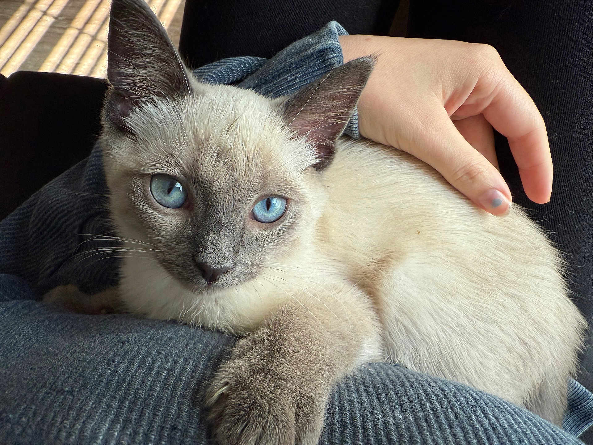 Alaska