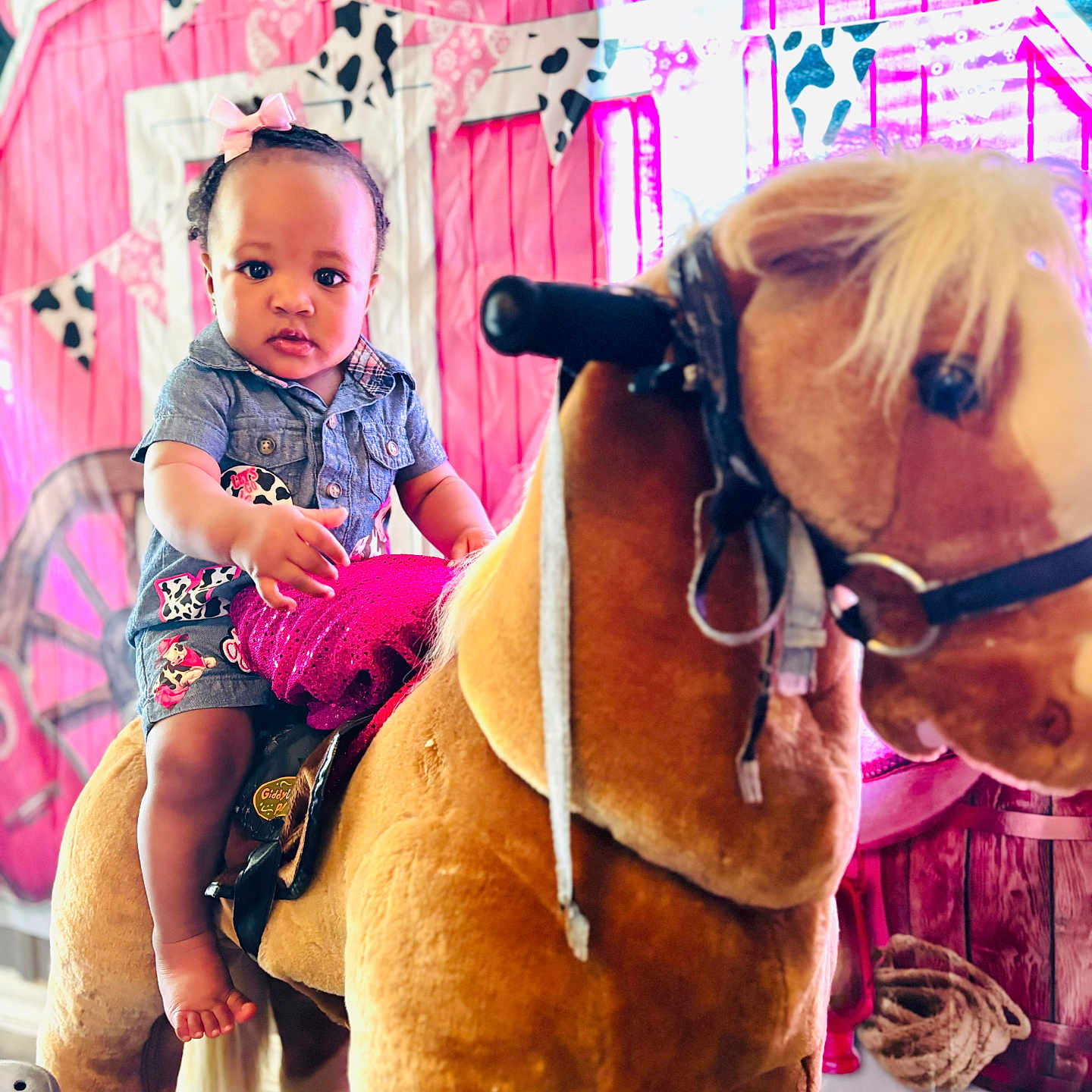 Kehlani is registered to the contest to win money with this photo: barn_backdrop, blue_outfit, child, childhood, colorful, cow_print, decoration, expression, face, floor, footwear, hand, indoor, pink_bow, playful, plush_horse, portrait, rocking_horse, toddler, toy