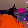 Mayweather is registered to the contest to win money with this photo: dog, black_dog, bed, blanket, orange_blanket, pink_cloth, indoor, resting, sleeping, heart_effects, love, cozy, pet, fur, animal, collar, relaxation, comfort, paw, canine