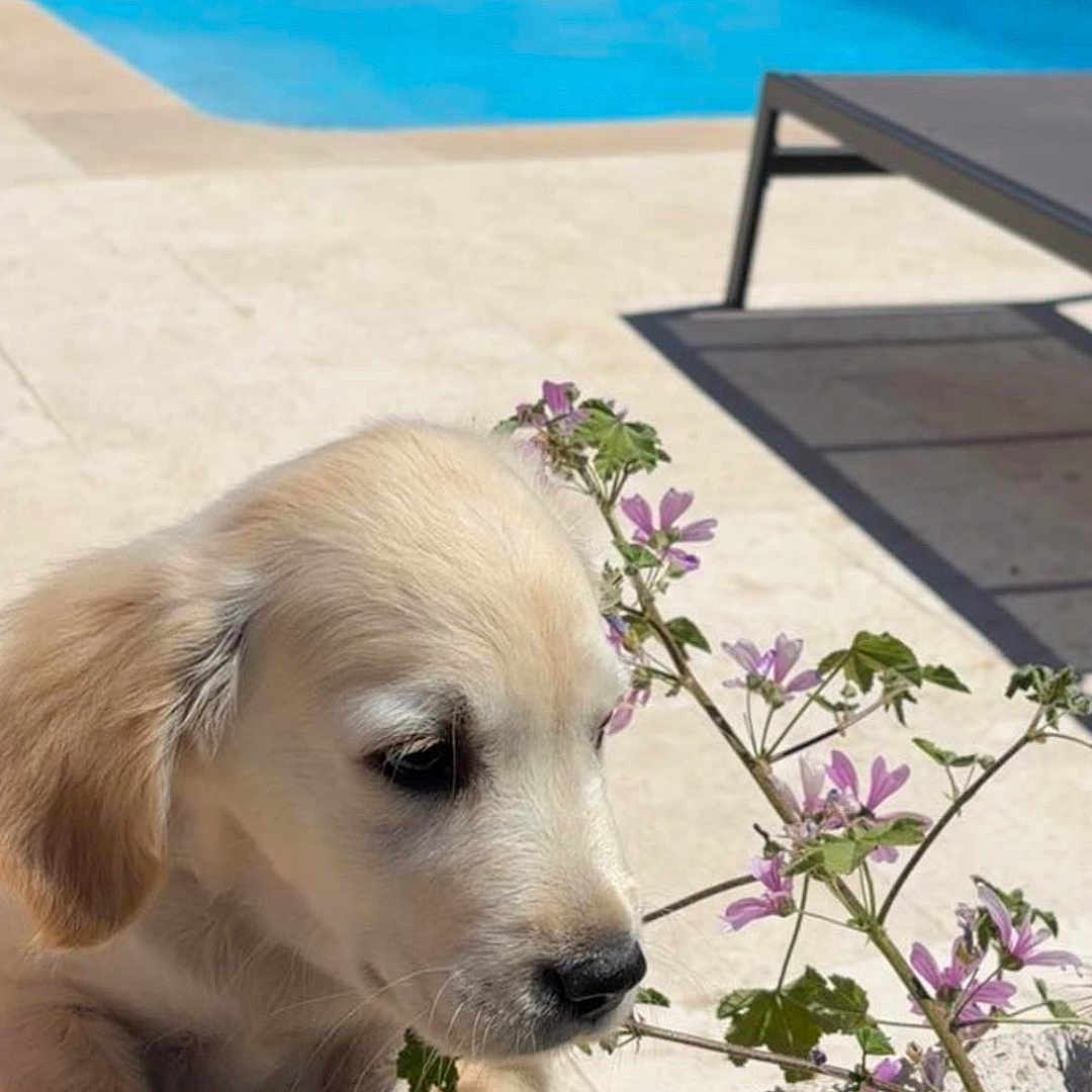 Rio