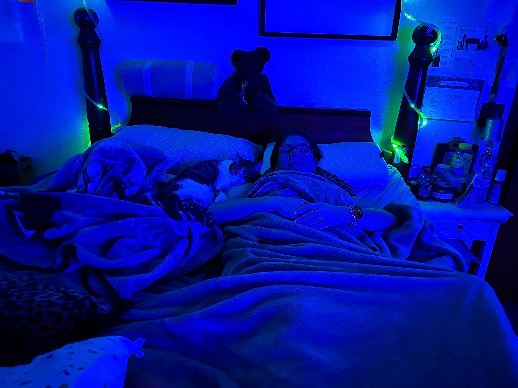 Mia is registered to the contest to win money with this photo: aqua, azure, bed, bed_sheet, bedding, bedroom, blue, comfort, darkness, electric_blue, event, fun, light, linens, magenta, night, pillow, purple, room, violet